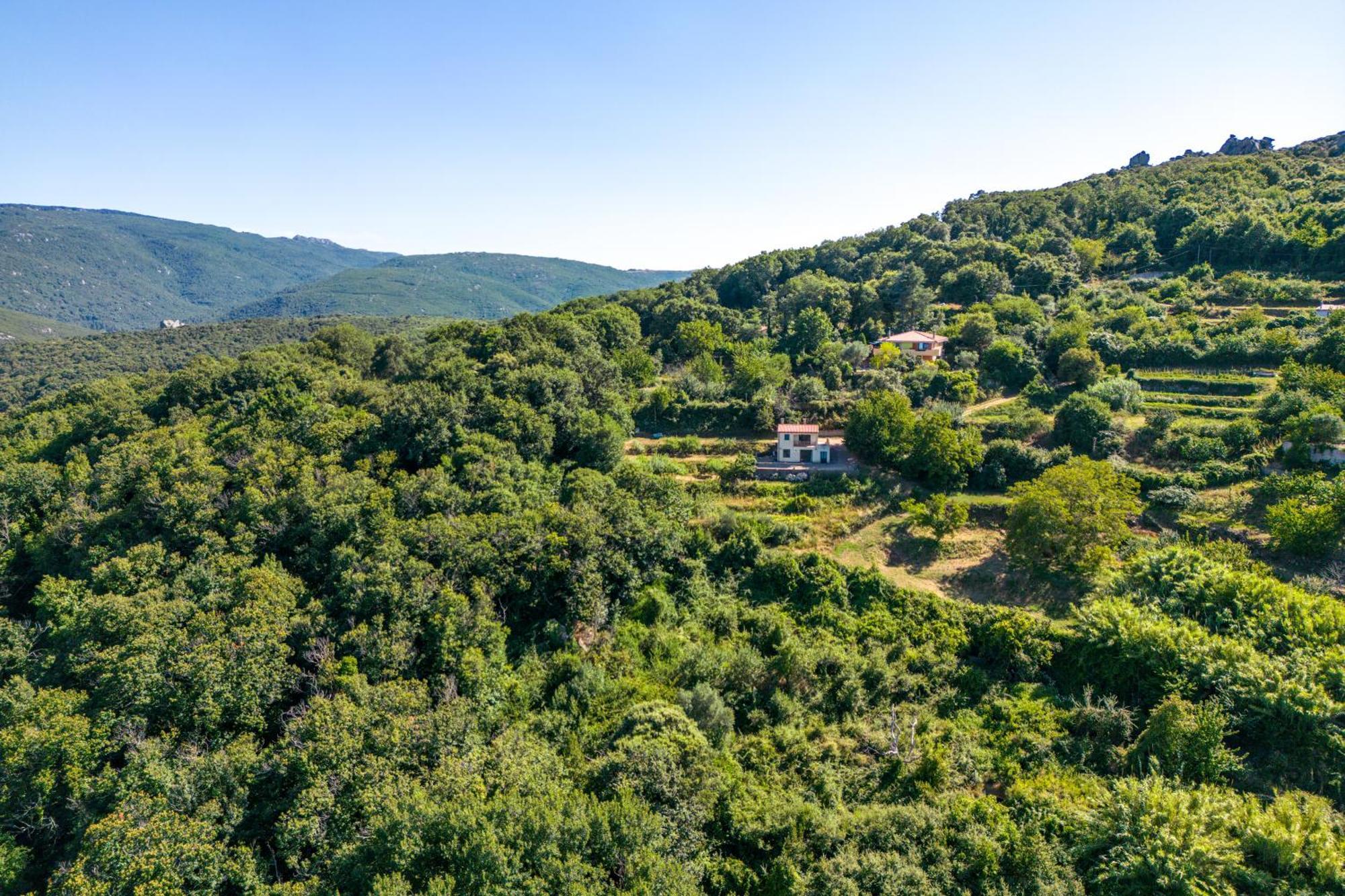 Home On The Hill Tempio Pausania Exterior foto
